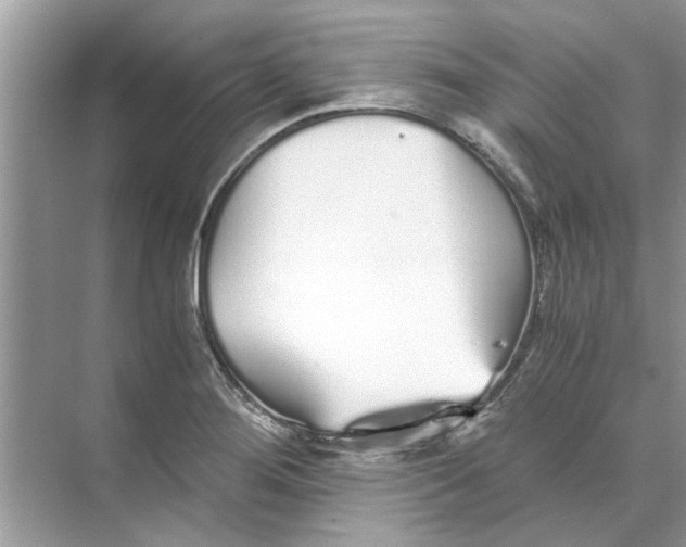 X0000073841276200608311925