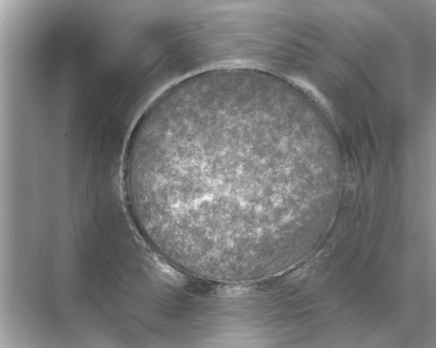 X0000073841278200608311925