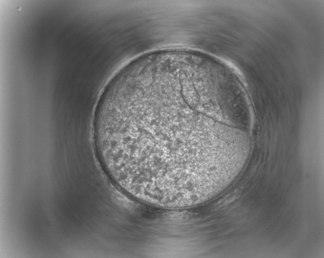 X0000073841279200608311925