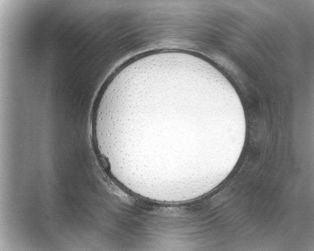 X0000073841280200608311925