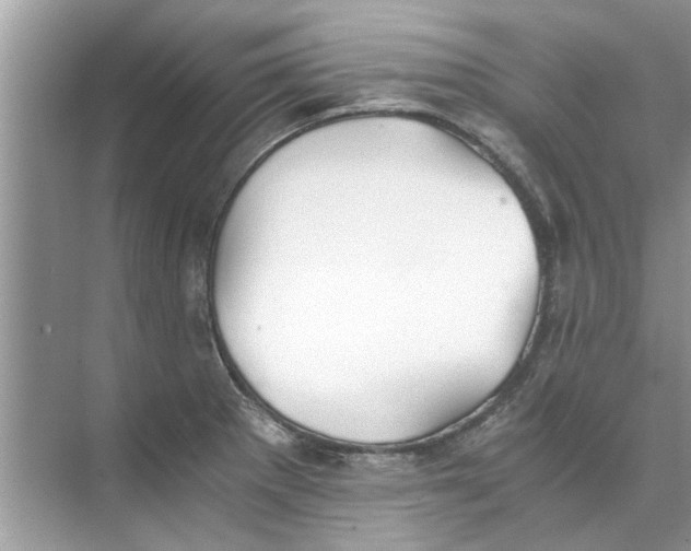 X0000073841281200608311925