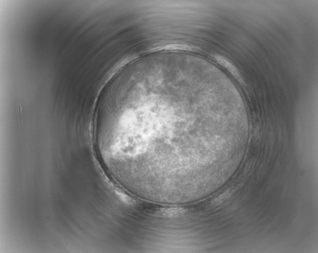 X0000073841282200608311925