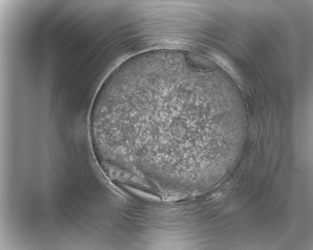 X0000073841283200608311925