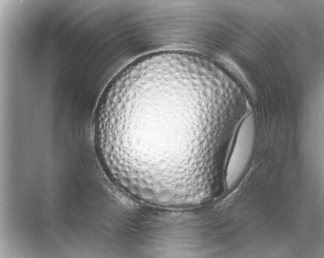 X0000073841284200608311925