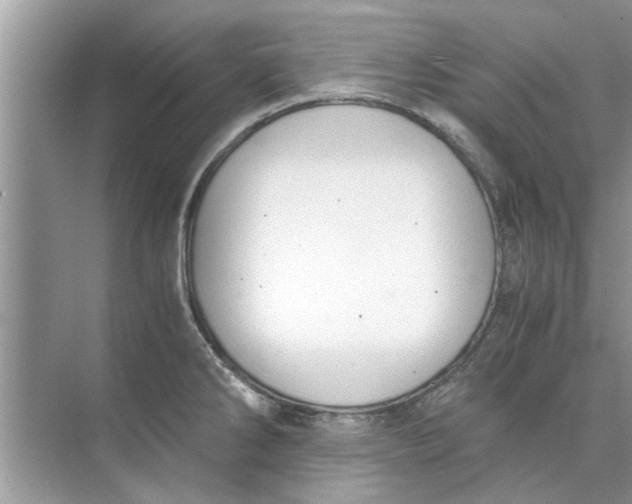 X0000073841286200608311925