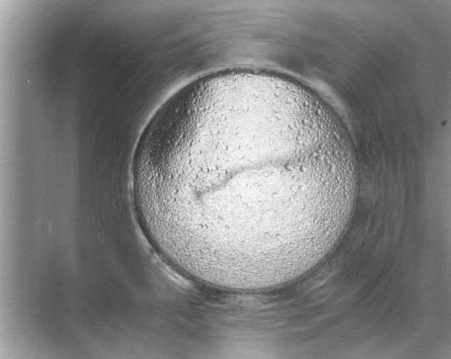 X0000073841287200608311925