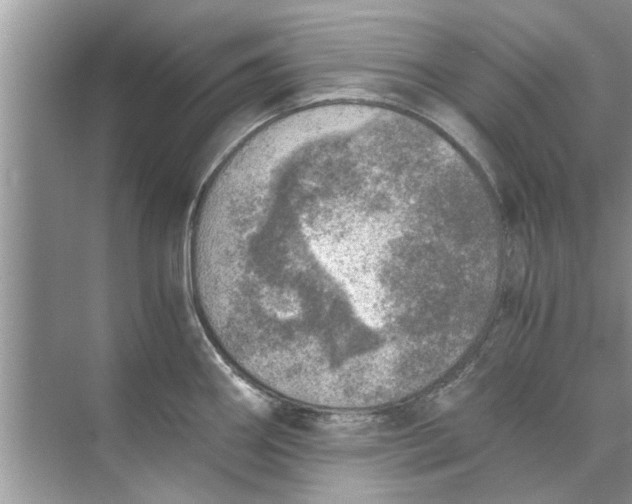 X0000073841290200608311925