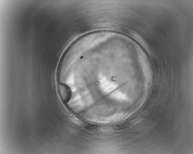 X0000073841291200608311925