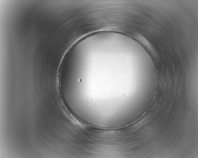 X0000073841292200608311925