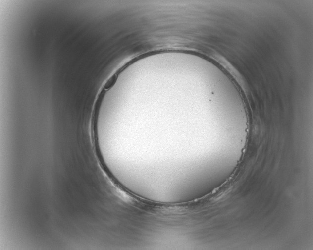 X0000073841293200608311925