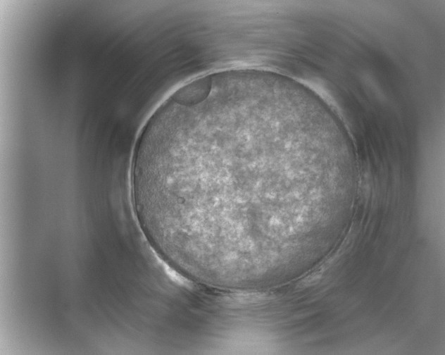 X0000073841294200608311925