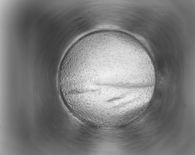 X0000073841295200608311925