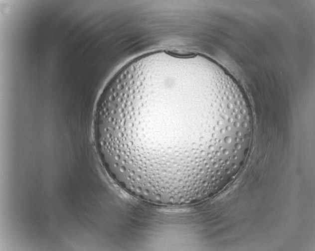 X0000073841296200608311925