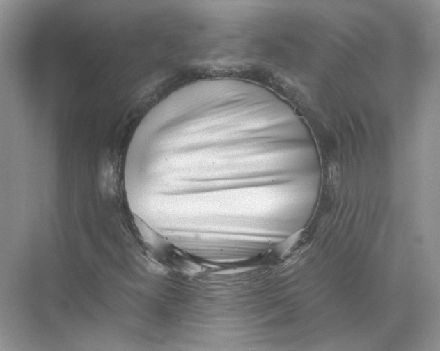 X0000073841300200608311924