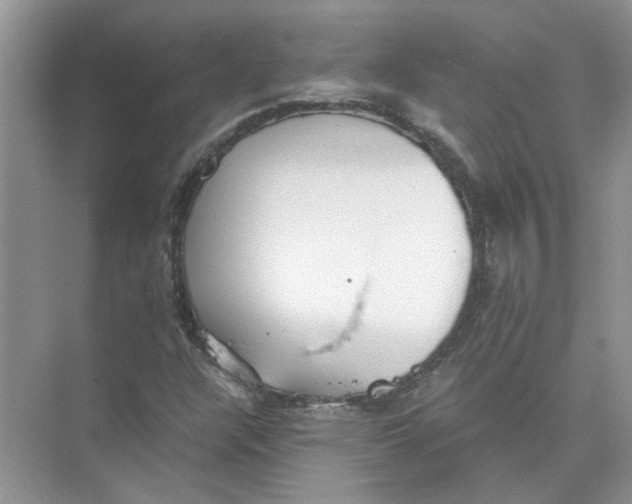 X0000073841304200608311924