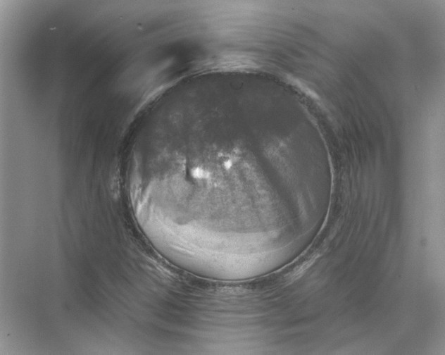 X0000073841306200608311924