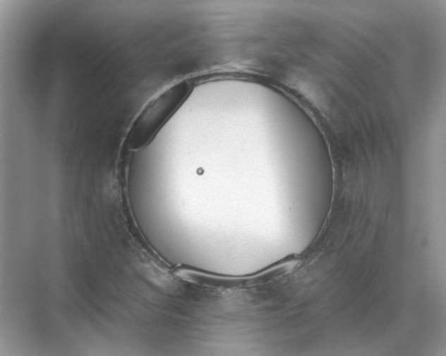 X0000073841308200608311924