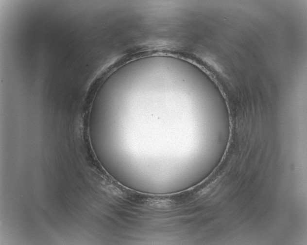 X0000073841309200608311924