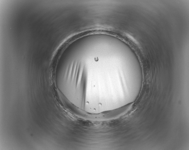 X0000073841310200608311924