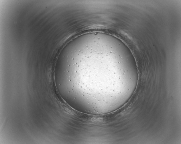 X0000073841313200608311924