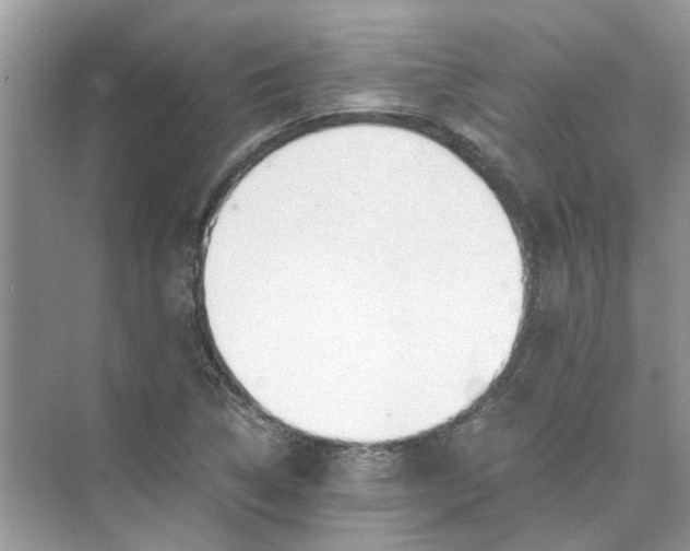 X0000073841314200608311924