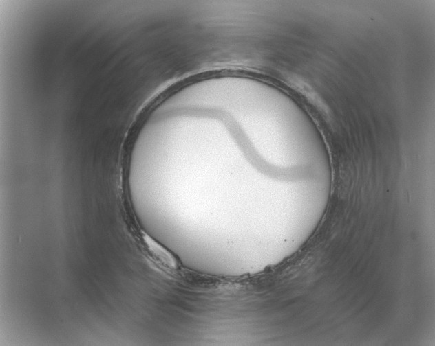 X0000073841316200608311924