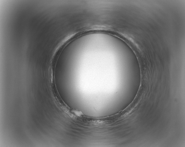 X0000073841317200608311924