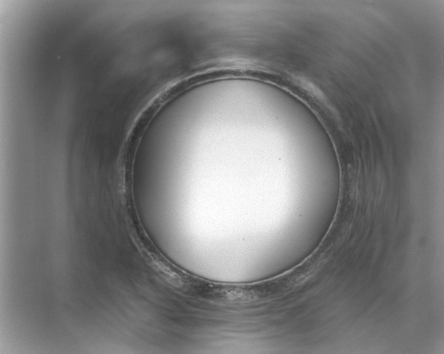 X0000073841318200608311924