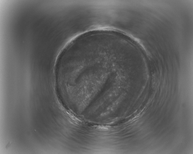 X0000073841319200608311924