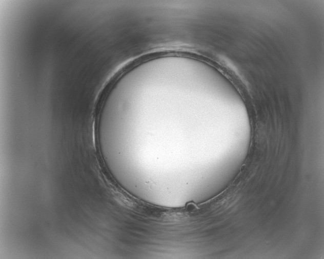 X0000073841320200608311924