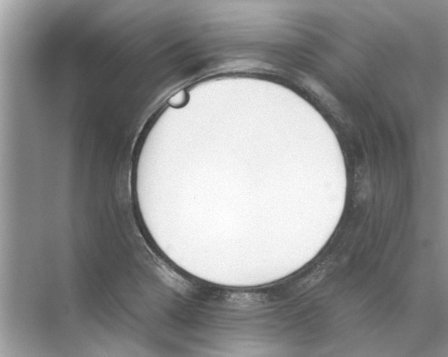 X0000073841322200608311924