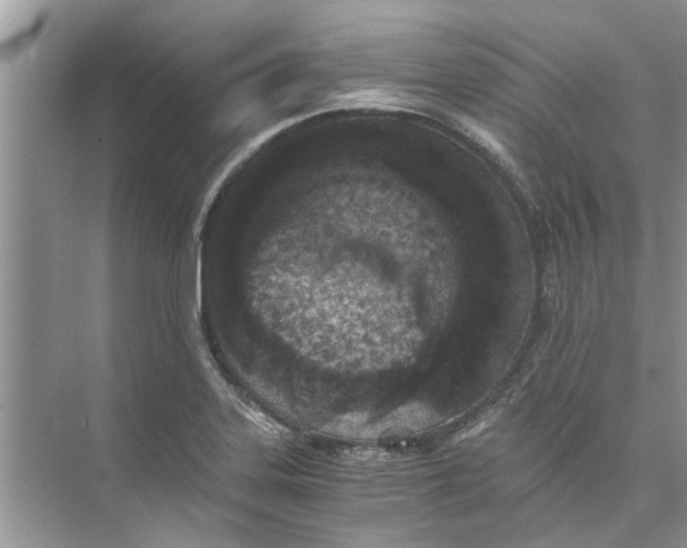 X0000073841323200608311924