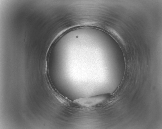 X0000073841324200608311924