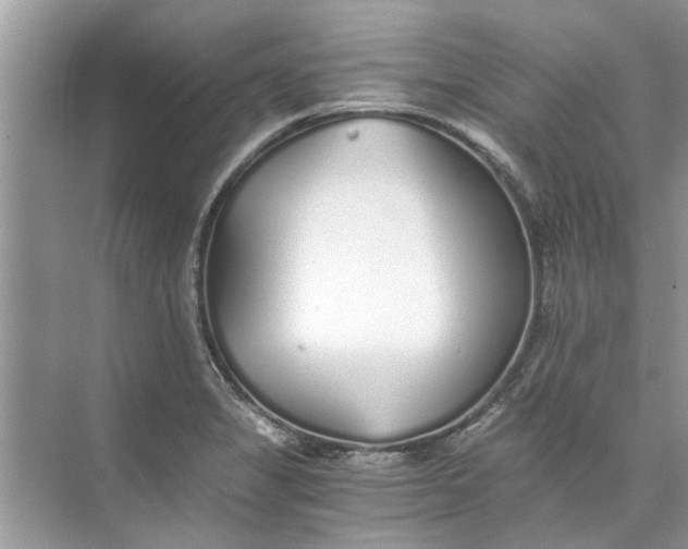 X0000073841325200608311924