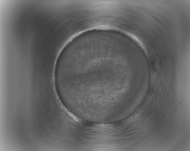 X0000073841327200608311924