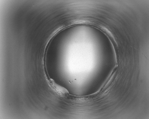 X0000073841330200608311924