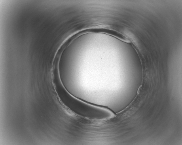 X0000073841332200608311925