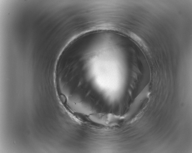 X0000073841334200608311925