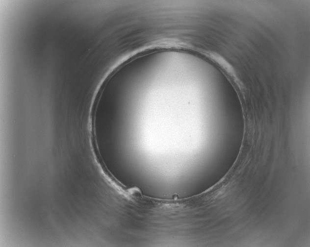 X0000073841335200608311925