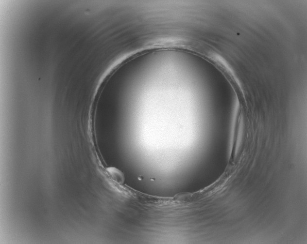 X0000073841336200608311925