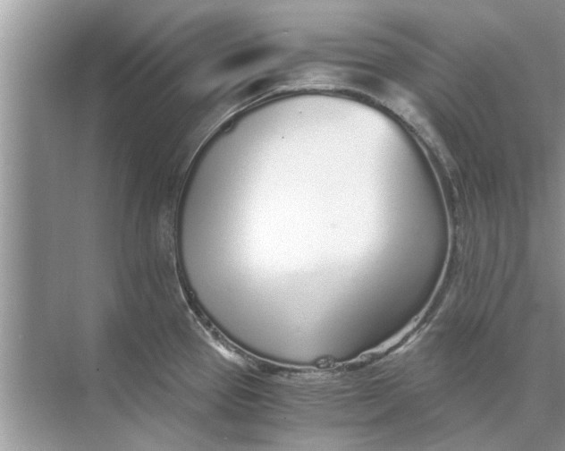 X0000073841337200608311925