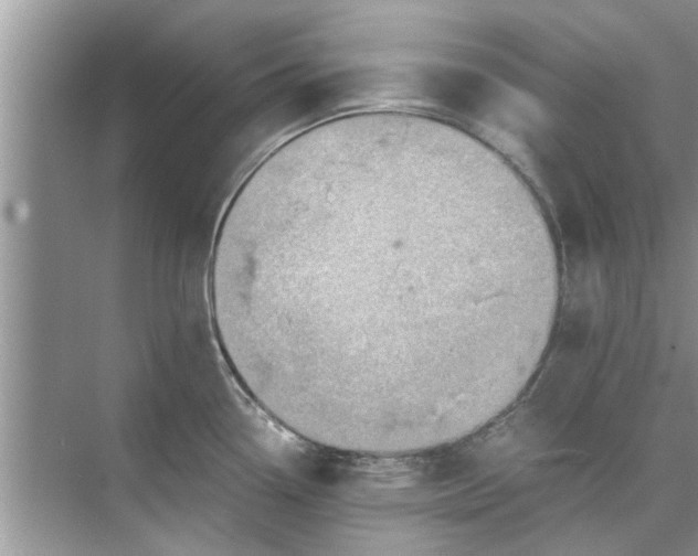 X0000073841338200608311925