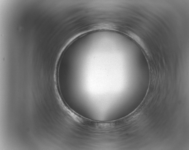 X0000073841339200608311925