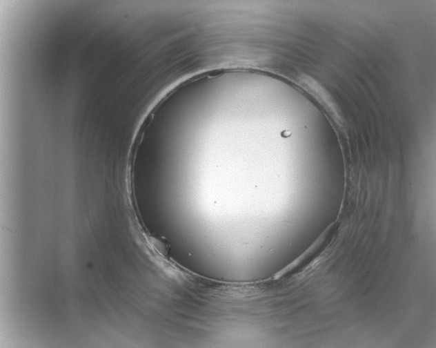 X0000073841340200608311925