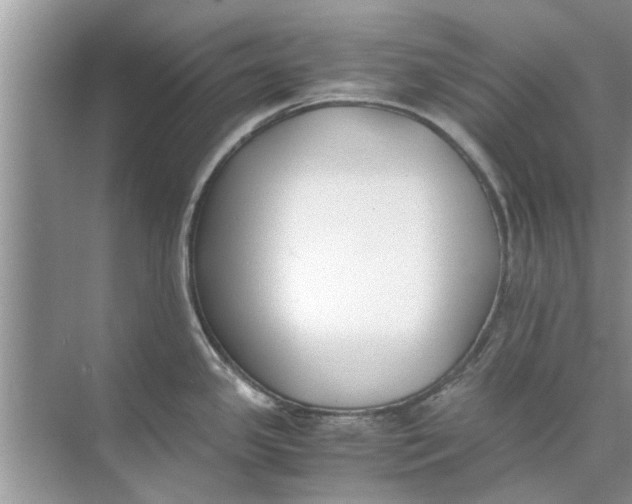 X0000073841341200608311925