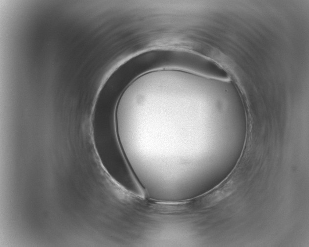 X0000073841344200608311925