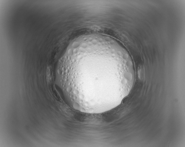 X0000073841347200608311924