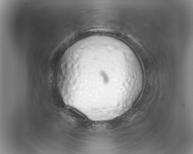 X0000073841351200608311924