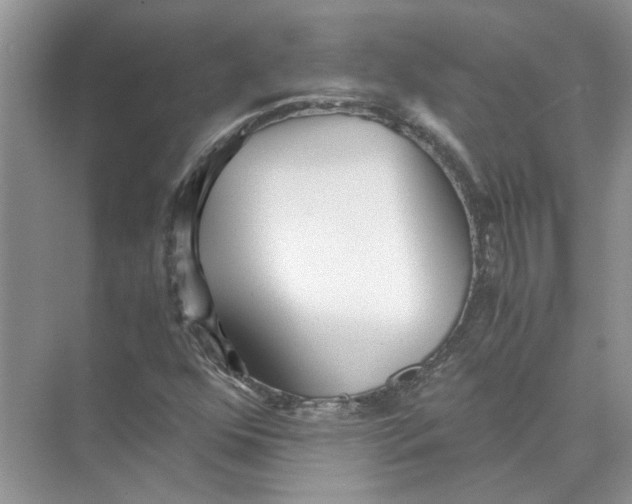 X0000073841352200608311924