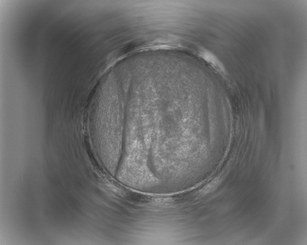 X0000073841353200608311924